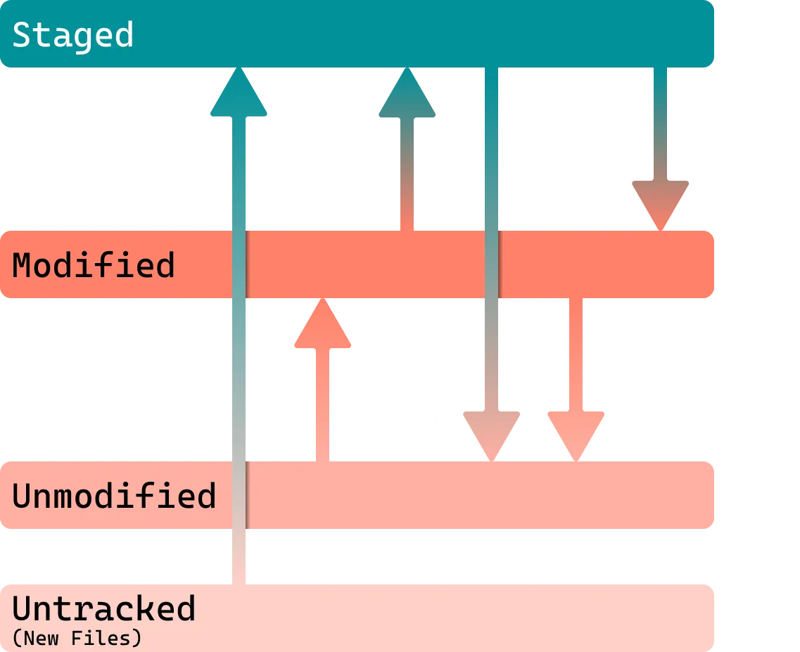 Git File Lifecycle